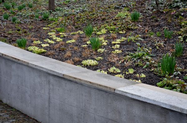 Concrete Wall Construction in Riverton