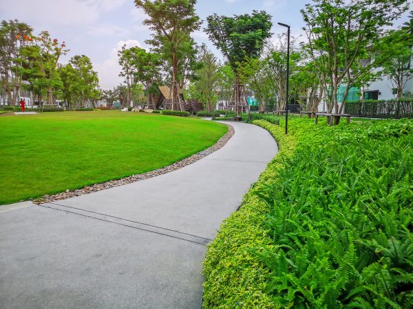 Cement Walkway Service in Riverton